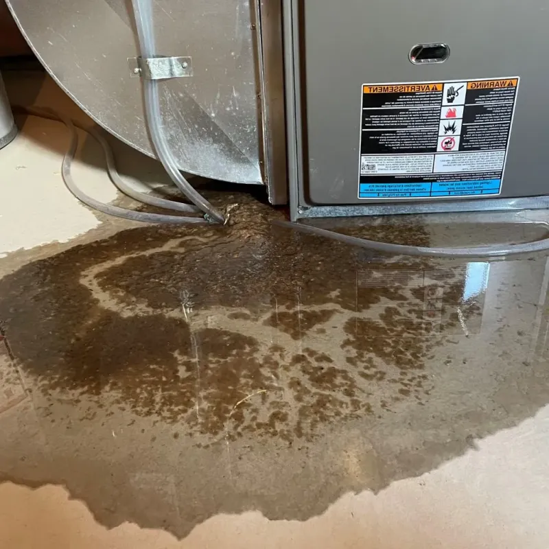 Pipe Burst and Leak Restoration in Dixfield, ME